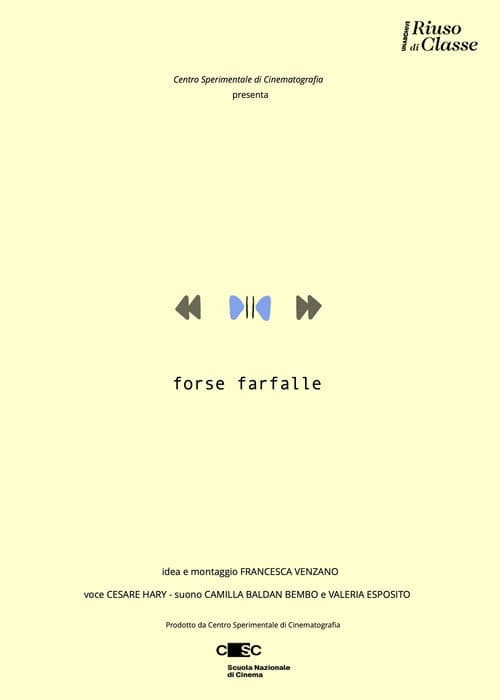 Forse farfalle poster