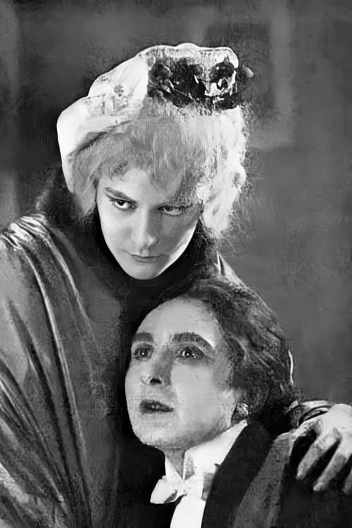 The Curious Adventure of Doctor Works poster