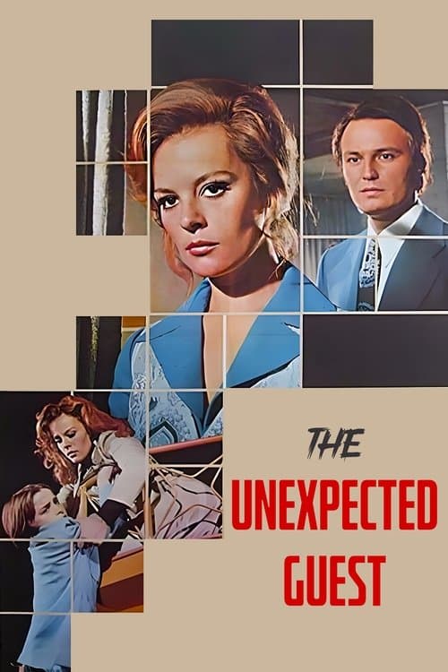 The Unexpected Guest poster
