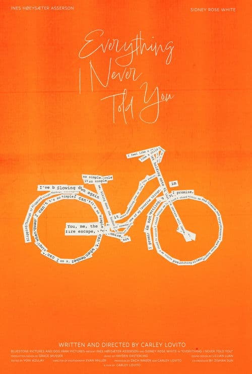 Everything I Never Told You poster
