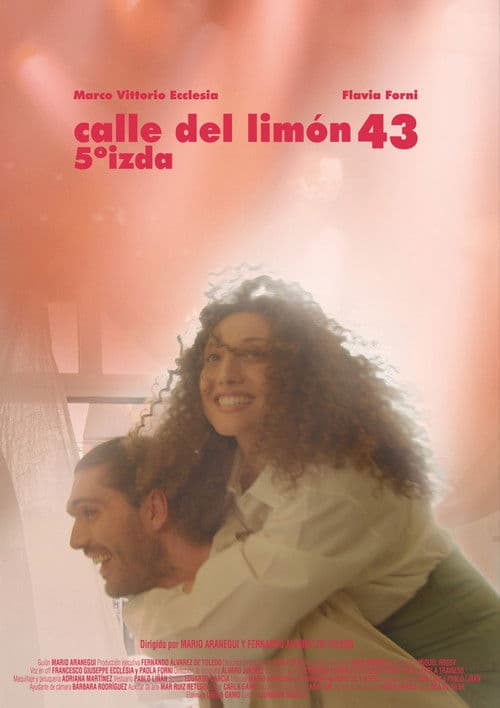 Calle del Limón 43, 5º izda poster