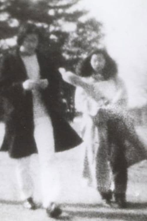 ピクニック poster