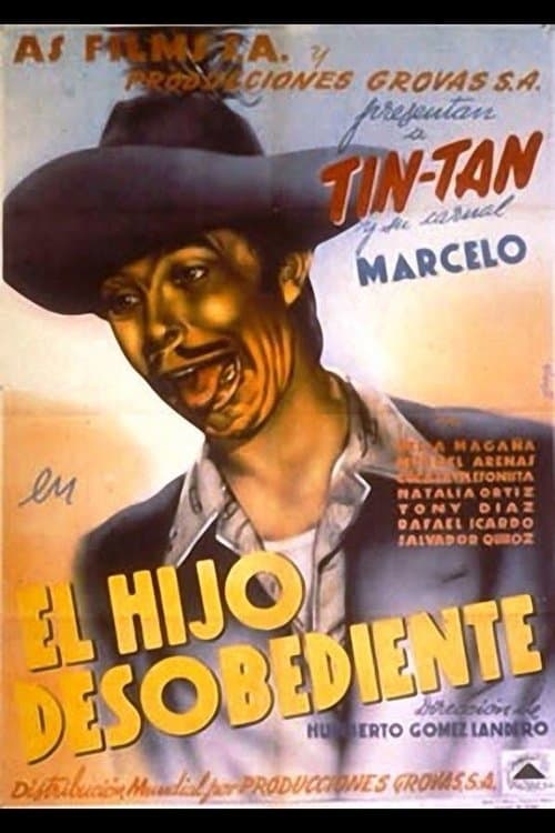 The Naughty Son poster