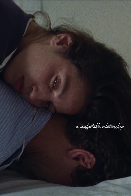 A Comfortable Relationship poster
