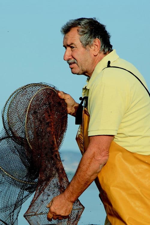 Franco Lupo profile photo