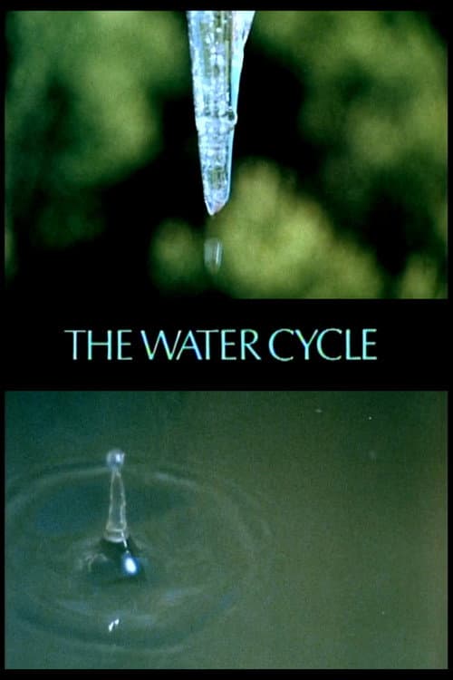 The Water Cycle poster