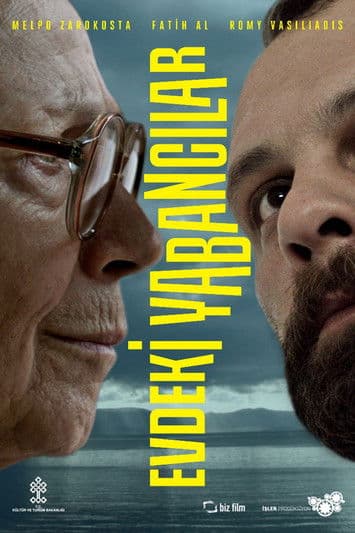 Strangers in the House poster