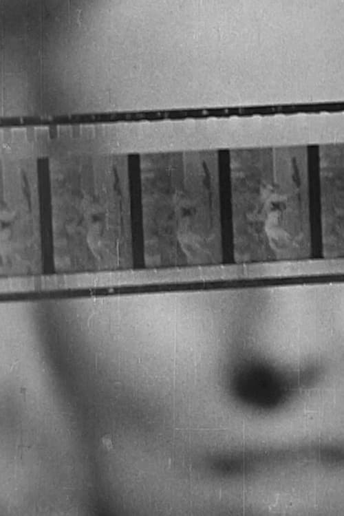 The Birth of Cinema poster