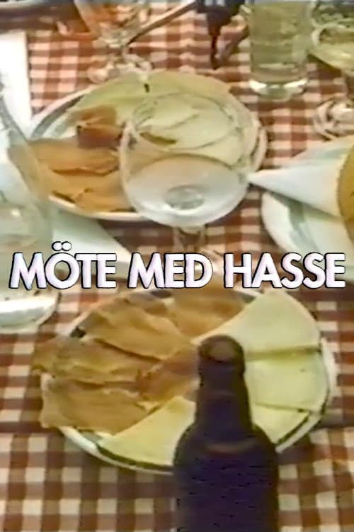 Meeting with Hasse poster