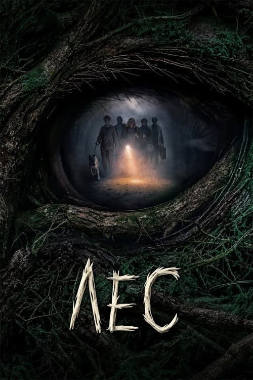 Forest poster