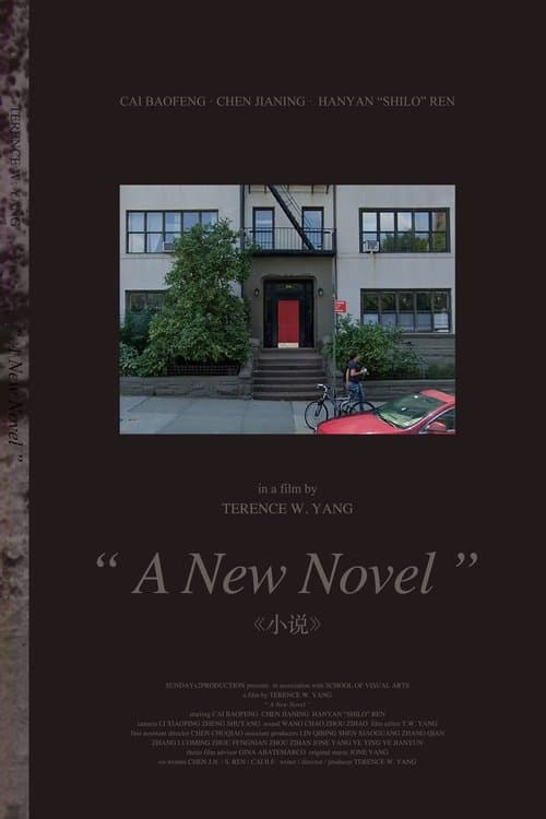 A New Novel poster