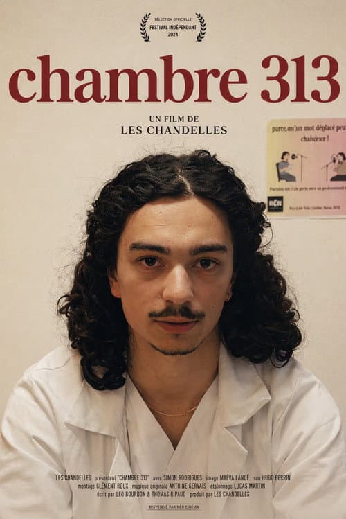 Chambre 313 poster