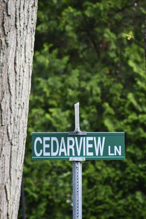 Cedarview poster