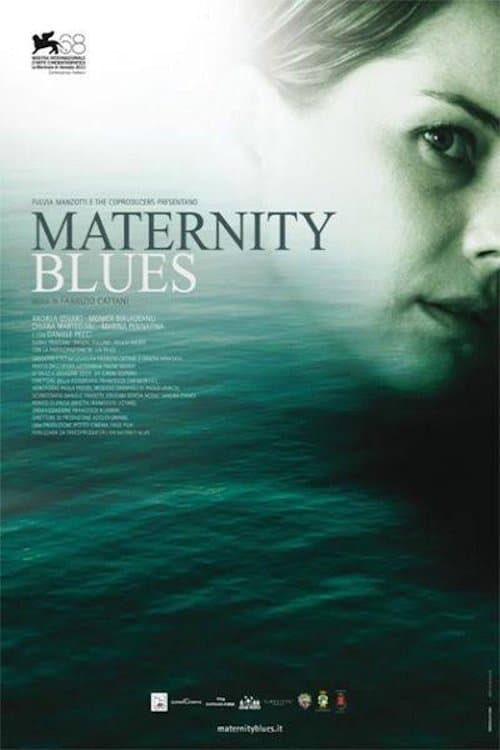 Maternity Blues poster