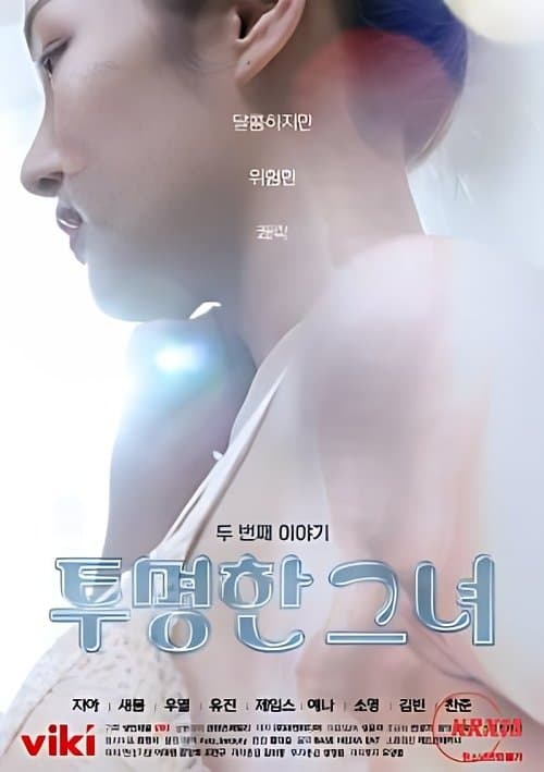 The Transparent Girls Second Story poster