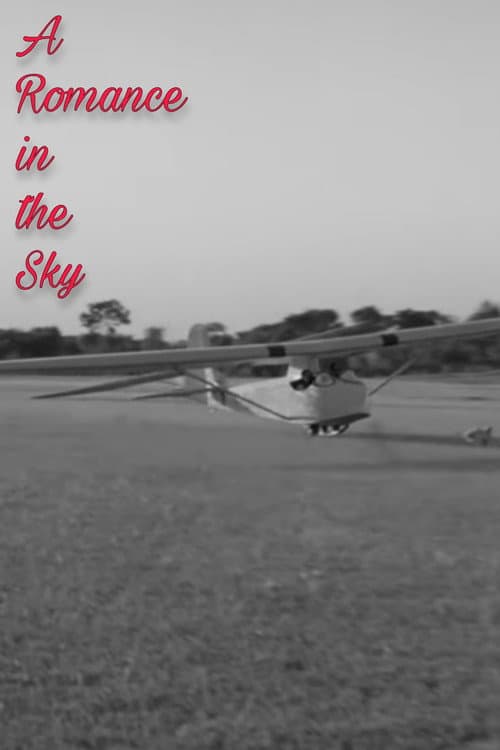 A Romance in the Sky poster