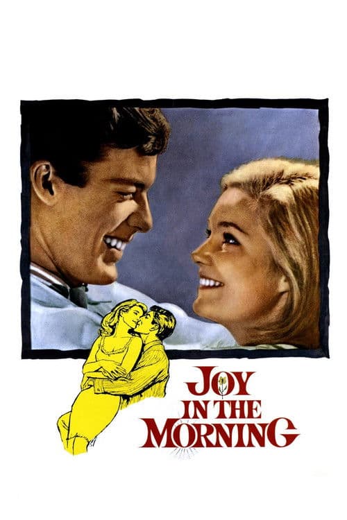 Joy in the Morning poster