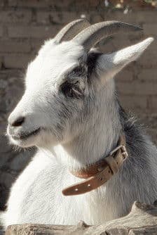 Melvin profile photo