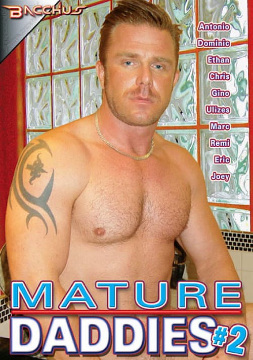 Mature Daddies 2 poster