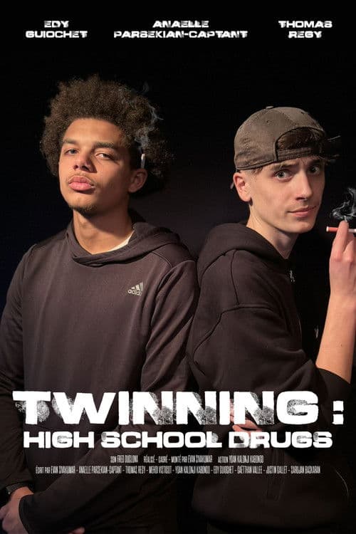Twinning : High School Drugs poster