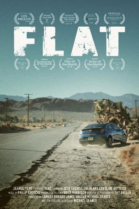 Flat poster