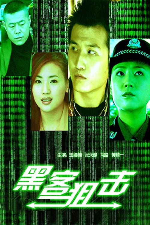黑客狙击 poster