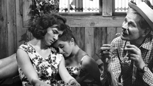 Dobrá rada pana Bartoše poster