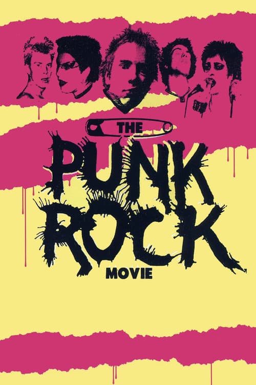 The Punk Rock Movie poster