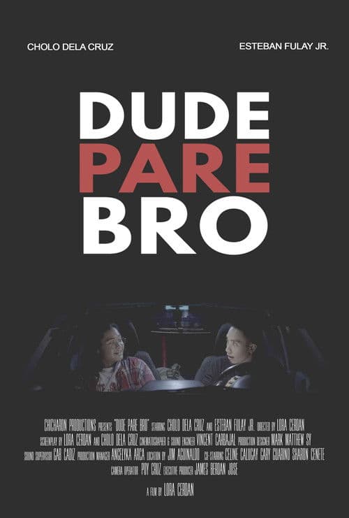 Dude Pare Bro poster
