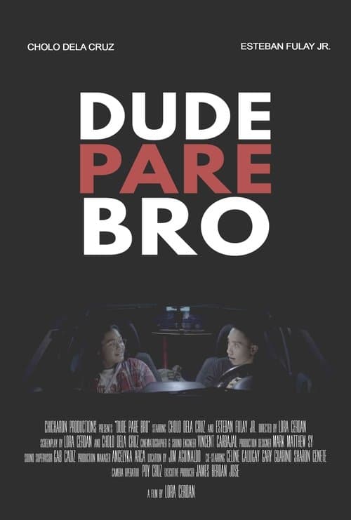 Dude Pare Bro poster