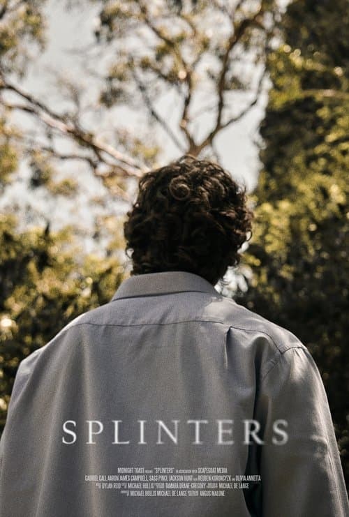 Splinters poster