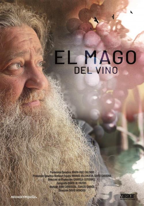 El mago del vino poster