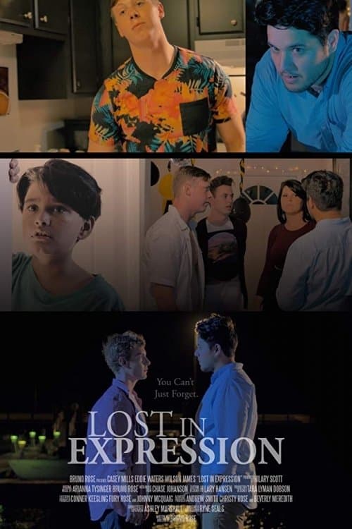 Lost in Expression poster