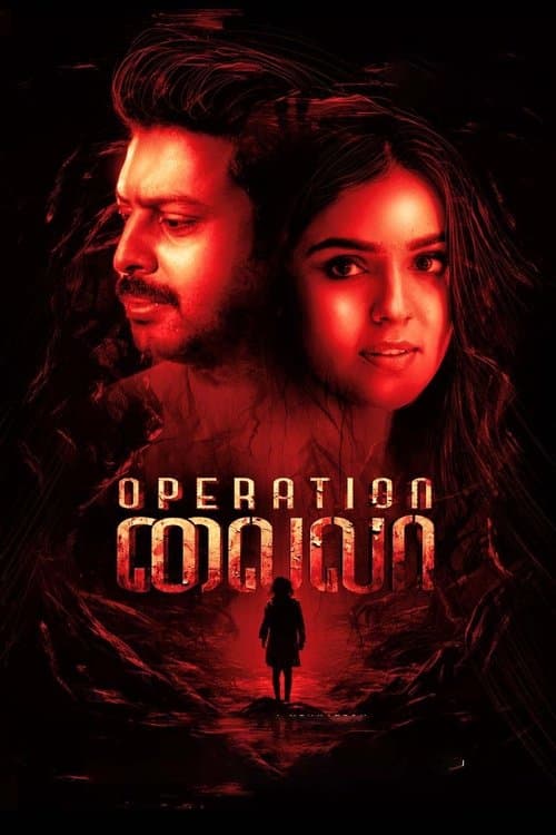 Operation Laila poster