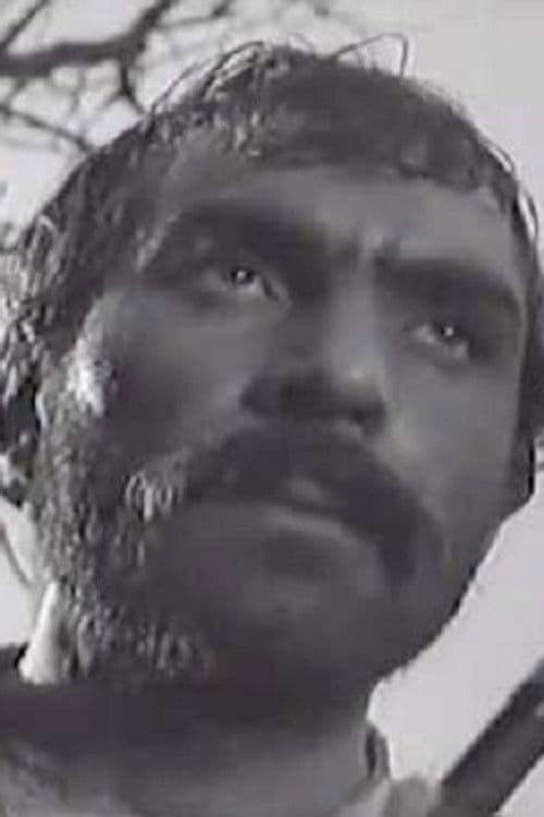 Iulian Codau profile photo