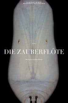 Mozart: Die Zauberflöte poster