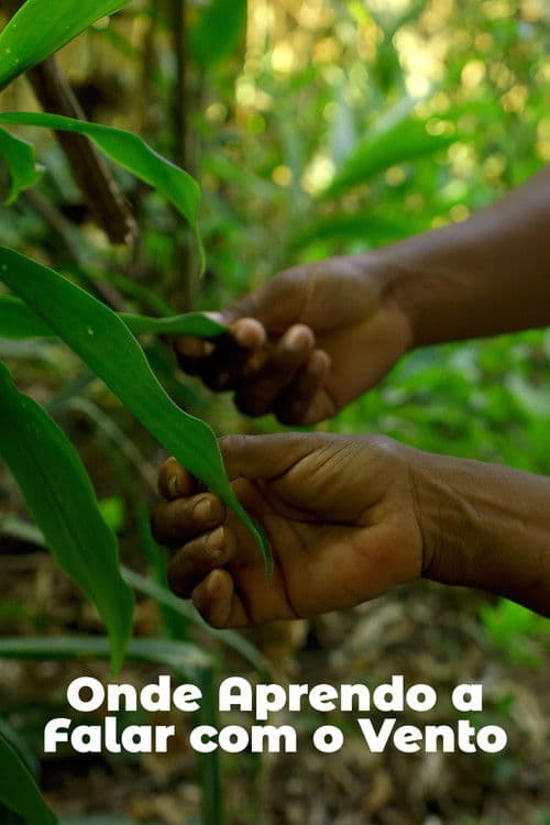 Onde Aprendo a Falar com o Vento poster