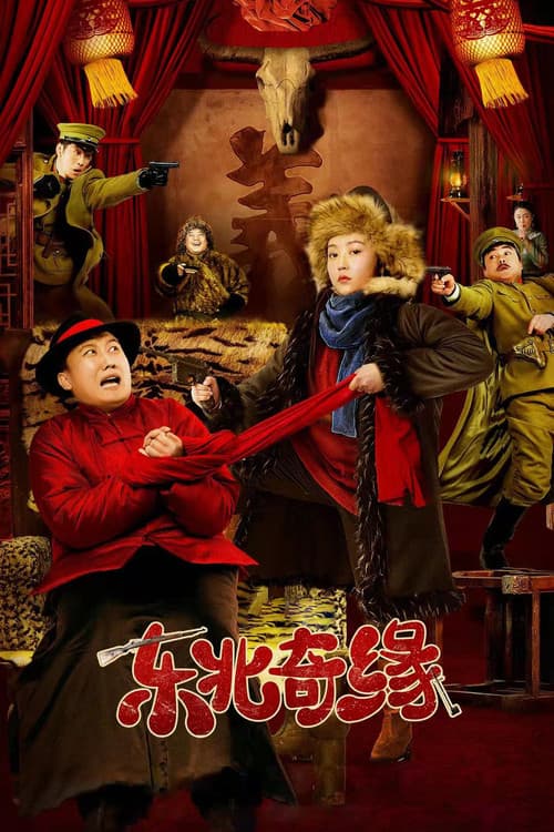 The Northeast Wonderland poster