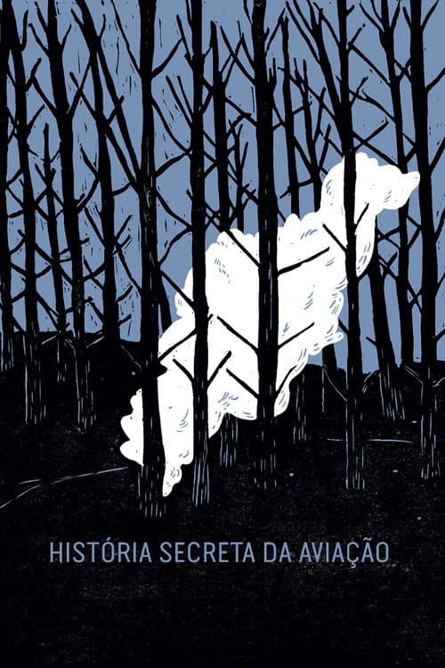 História Secreta da Aviação poster
