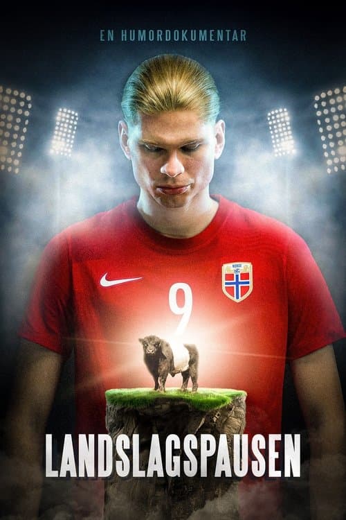 Landslagspausen poster