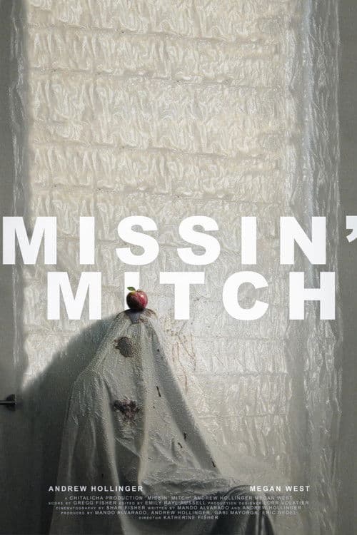 Missin' Mitch poster