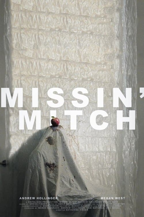 Missin' Mitch poster