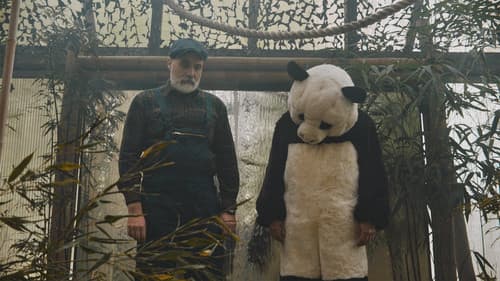 Pandas in Love poster