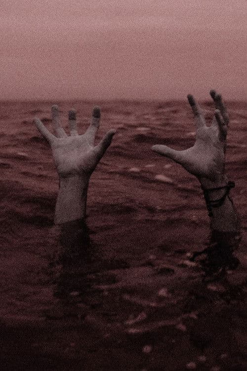 Male Privilege poster