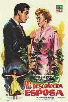 Mi desconocida esposa poster