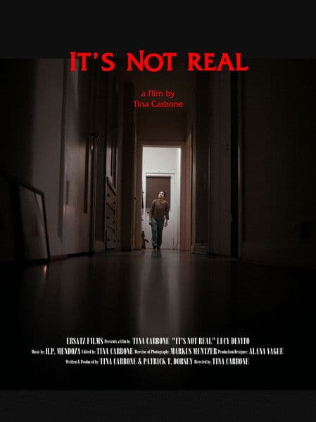 It's Not Real poster