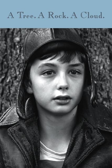 A Tree. A Rock. A Cloud. poster