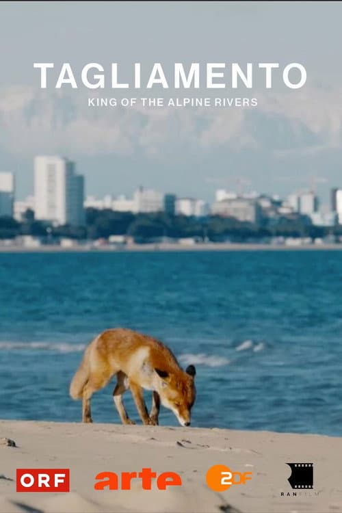 Tagliamento - King of The Alpine Rivers poster