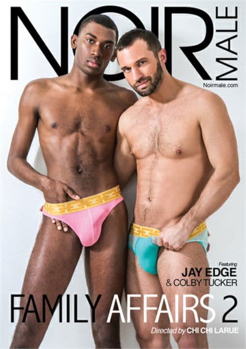 Family Affairs 2 poster