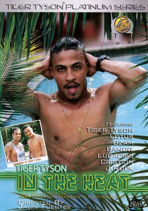 Tiger Tyson: In the Heat poster